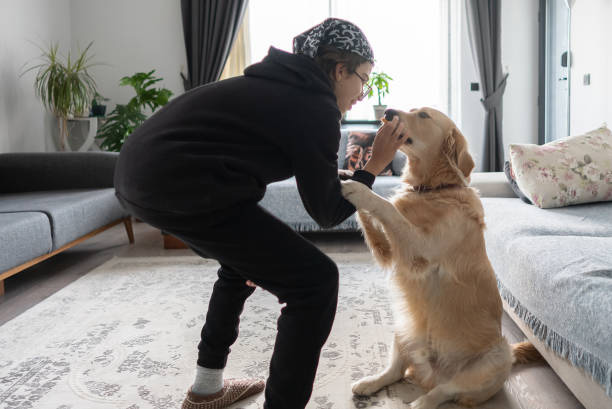 Breaking Common Dog Behavior Myths: What Dog Training Really Teaches