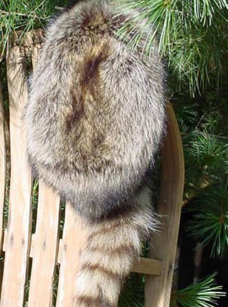 From Raccoon Hats to Canadian-Made Purses: The Craftsmanship That Refuses to Disappear